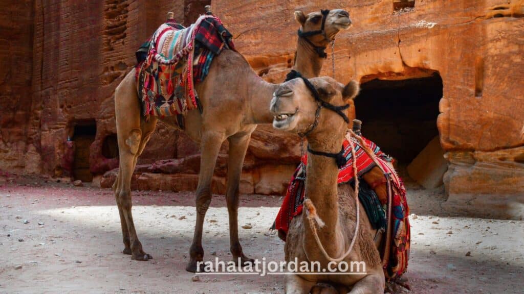 السياحة في الأردن العرب المسافرون